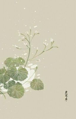 đam mỹ mới hoàn