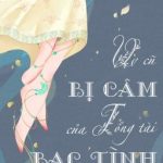 Vợ cũ bị câm của tổng tài bạc tình (ngược, full)