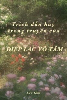 Trích Dẫn Hay Trong Truyện Của Diệp Lạc Vô Tâm