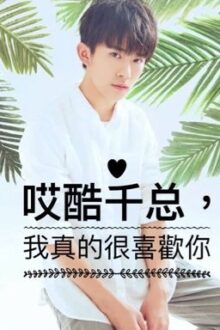 [FANFIC] Thiên Tổng cao lãnh à, em thực rất thích anh!