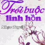 [XK, NP] Trói buộc linh hồn