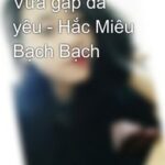 Vừa gặp đã yêu – Hắc Miêu Bạch Bạch