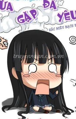 Vừa gặp đã yêu Poster