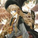 (ĐN Harry Potter) Sự lựa chọn đúng đắn