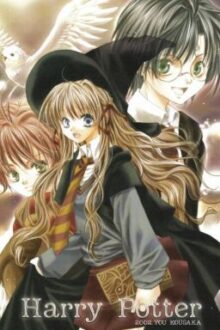 (ĐN Harry Potter) Sự lựa chọn đúng đắn