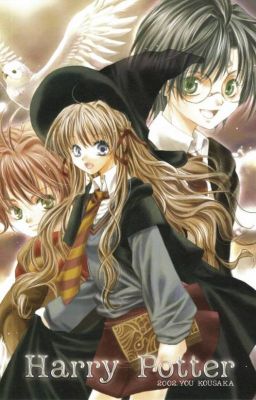 (ĐN Harry Potter) Sự lựa chọn đúng đắn Poster