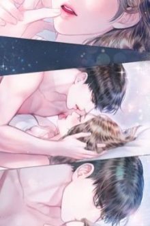 Tổng tài ngược đãi phu nhân ( Full )