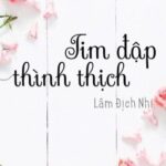 Tim Đập Thình Thịch