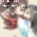 Cao thủ đổi đen thay trắng