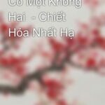 Có Một Không Hai – Chiết Hỏa Nhất Hạ