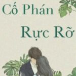 Cố Phán rực rỡ [Edit]-Dạ Mạn