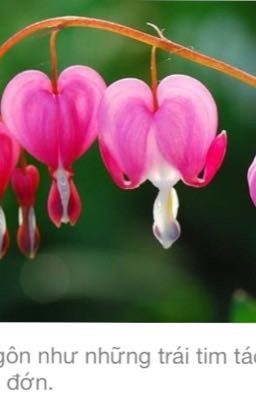 Đến lượt em yêu anh Poster