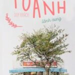 Tiệm hoa của Tô Anh [Edit] – Duy Khách