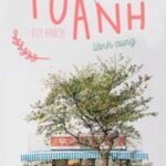 [END] Tiệm hoa của Tô Anh [Edit] – Duy Khách