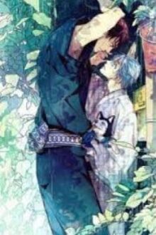 [ĐM – Hoàn] Trở về tuổi mười bảy – Hạo Hãn