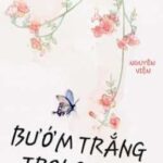 [Cao h] [Hoàn] BƯỚM TRẮNG TRONG TAY HỔ GIẤY – Nguyên Viện