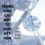 Trọng Sinh Chi Một Tờ Giấy Kết Hôn