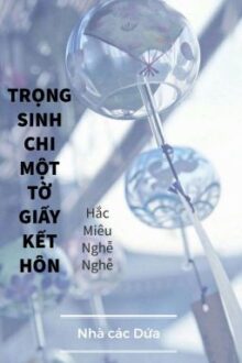 Trọng Sinh Chi Một Tờ Giấy Kết Hôn
