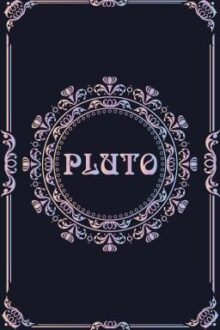 |Kookmin| PLUTO