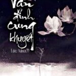 Vấn đỉnh cung khuyết – Lệ Tiêu