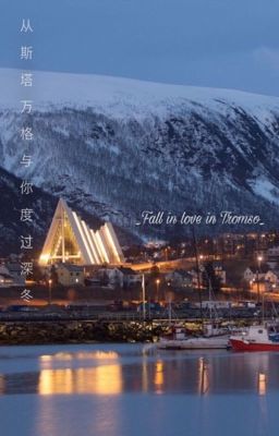 [Bác Chiến|Edit] Từ Stavanger cùng anh trải qua mùa đông Poster