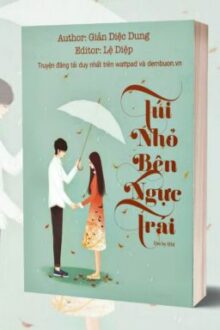 [Edit – Hoàn] [Đang Beta] Túi Nhỏ Bên Ngực Trái – Giản Diệc Dung