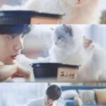[Edit|BJYX] Nhặt Được Một Chú Mèo (Hoàn)