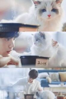 [Edit|BJYX] Nhặt Được Một Chú Mèo (Hoàn)