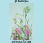 [Trans] [BTS | KookV] Of Bandages And Venus Flytraps ✔