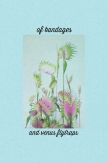 [Trans] [BTS | KookV] Of Bandages And Venus Flytraps ✔