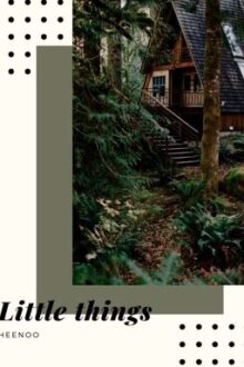 [SHORTFIC/HEENOO] Little things