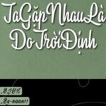 [BJYX] Ta Gặp Nhau Là Do Trời Định