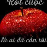 [EDIT HOÀN] Rốt cuộc ai đã cắn tôi