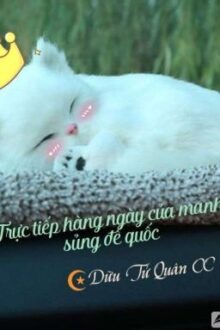 Trực tiếp hàng ngày của manh sủng đế quốc – Dữu Tử Quân CC