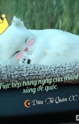 Trực tiếp hàng ngày của manh sủng đế quốc – Dữu Tử Quân CC Poster