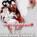 [BHTT] [Edited] Hoa Hồng Đỏ Và Hoa Hồng Trắng