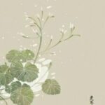 Ngô đồng nhất diệp lạc (Hoàn)