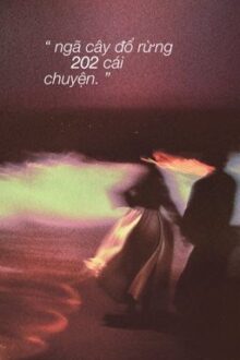 hanrae | textfic ✶ ngã cây đổ rừng 202 cái chuyện