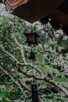 Mộng Uyên Ương Full (cổ đại, giả tưởng)