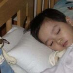 |yeongyubin| – ở đây chỉ có cáo, gấu và thỏ