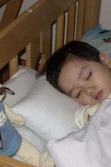 |yeongyubin| – ở đây chỉ có cáo, gấu và thỏ