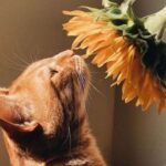 Bên Em Từ Bé