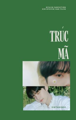 trúc mã | gyujin Poster