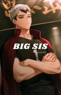 ĐN Haikyuu | Chị cả Poster