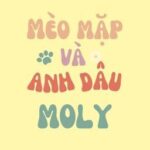 [ChoRan] [Done] Mèo mặp và anh dâu Moly
