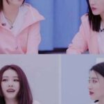 Cảnh cáo cô vợ bỏ trốn- Đới Ngôn (cover)