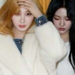 [Ver] Ningselle – Chị dâu, nguyện vì nàng mắc câu