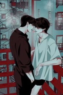 Sau Khi Phân Hóa Thành O Bị Nhóm A Cưỡng Chế Ái- Fundexb