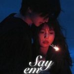 Say Em