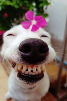 Mấy Shot Ngắn Thoi